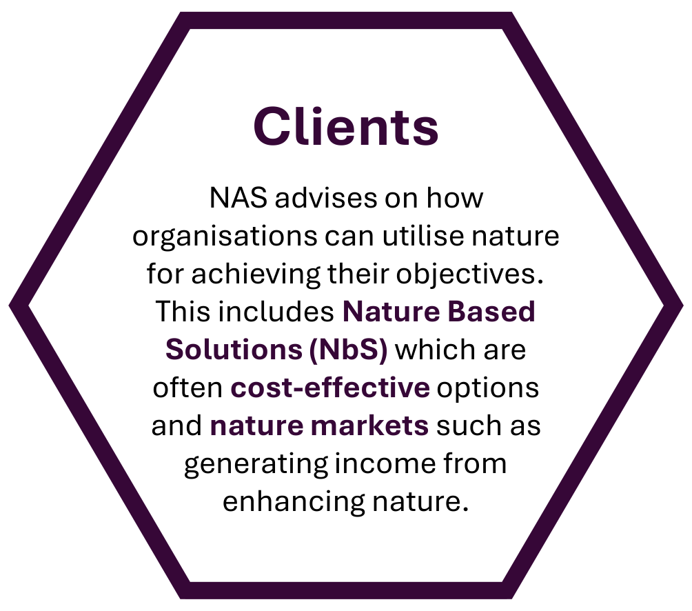 Clients NAS advises on how organisations can utilise nature for achieving their objectives. This includes Nature Based Solutions (NbS) which are often cost-effective options and nature markets such as generating income from enhancing nature.
