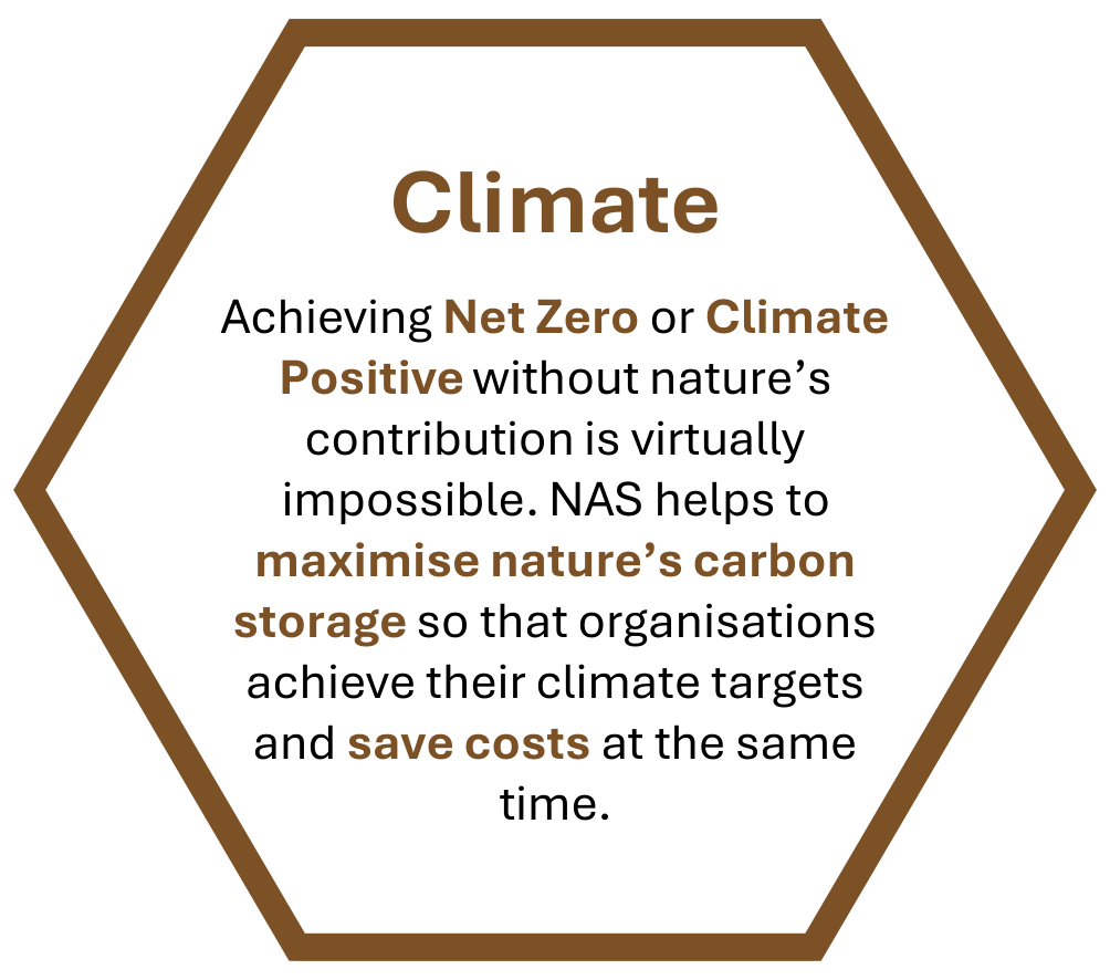 Climate Achieving Net Zero or Climate Positive without nature’s contribution is virtually impossible. NAS helps to maximise nature’s carbon storage so that organisations achieve their climate targets and save costs at the same time.