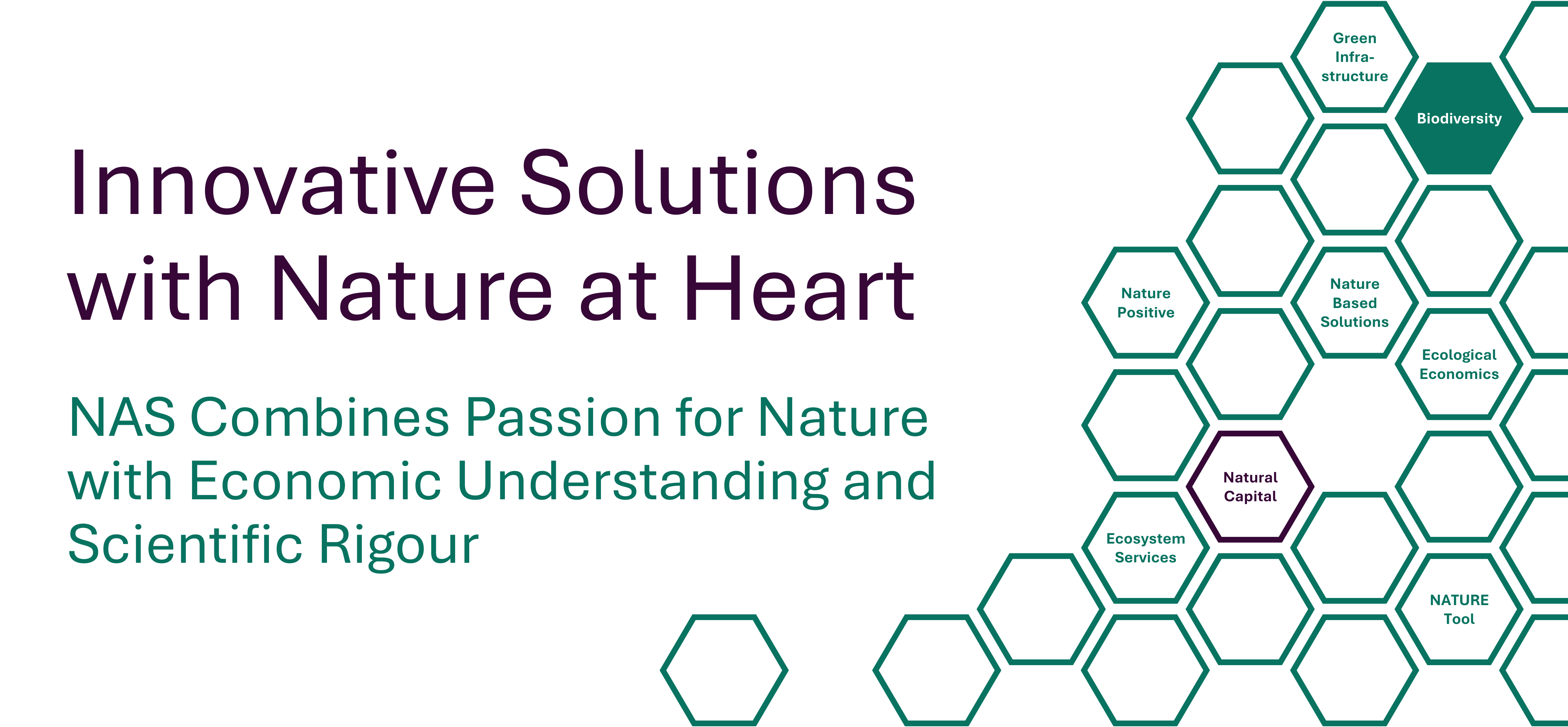 NAS | Nature Advisory Services - Innovative Solutions with nature at Heart. NAS Combines Passion for Nature with Economic Understanding and Scientific Rigour.