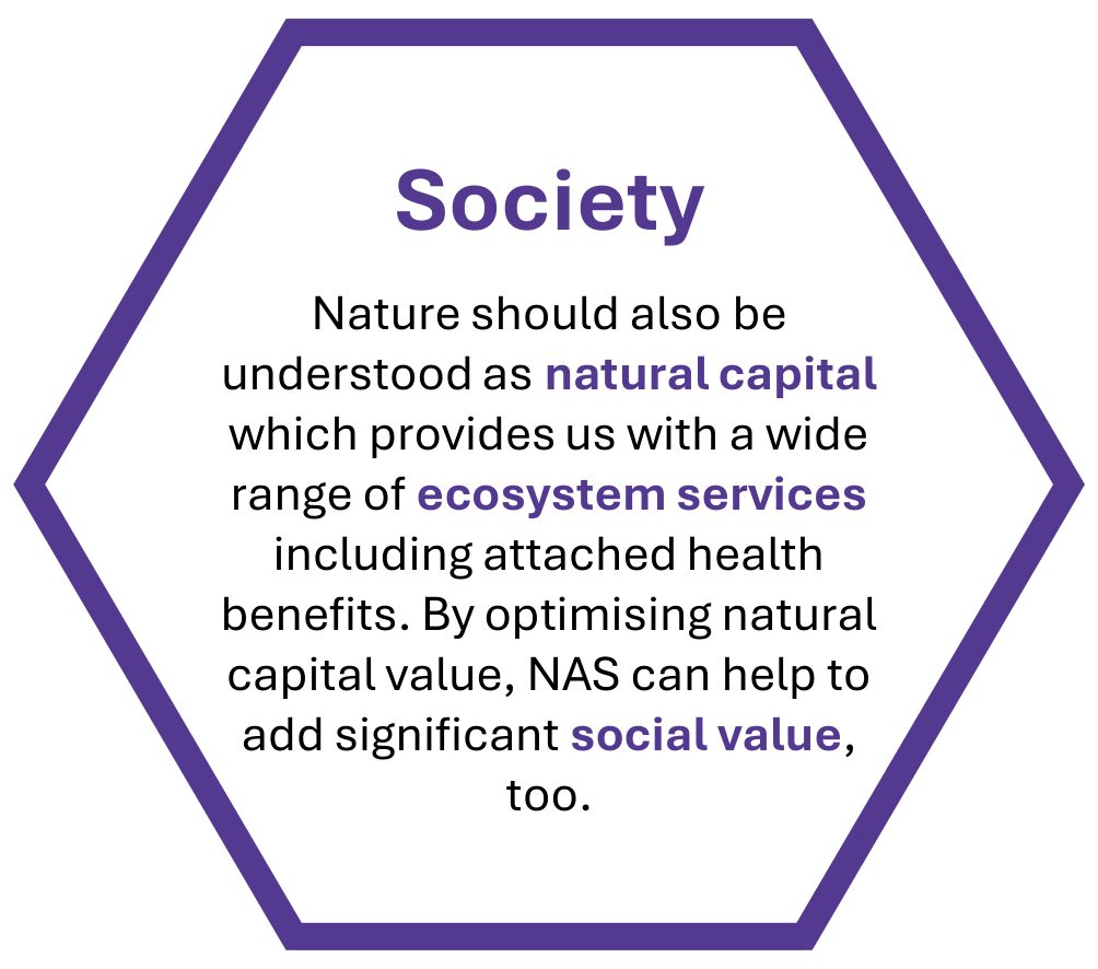 Society Nature should also be understood as natural capital which provides us with a wide range of ecosystem services including attached health benefits. By optimising natural capital value, NAS can help to add significant social value, too.