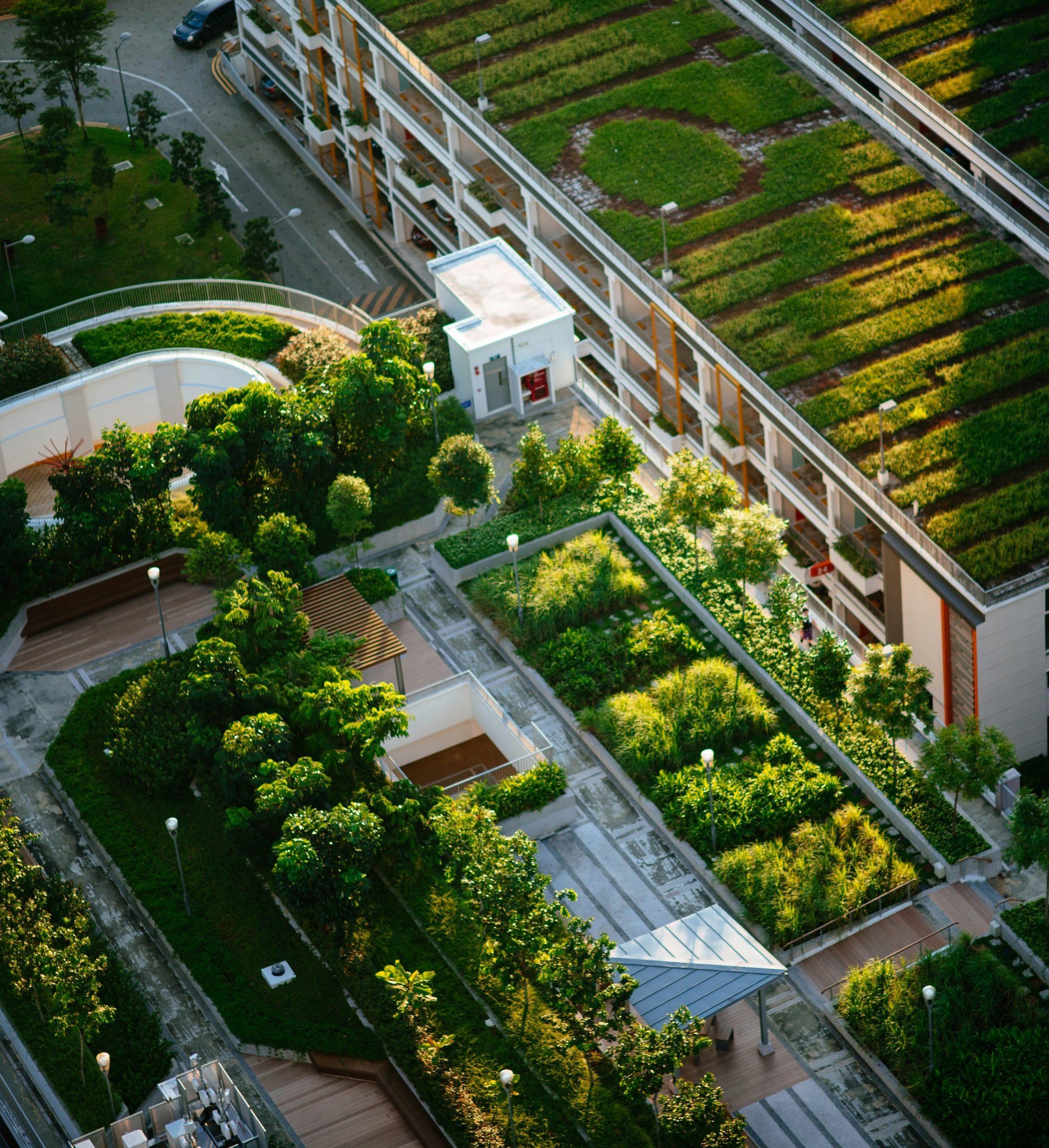 NAS Contact - Picture of Green Roofs